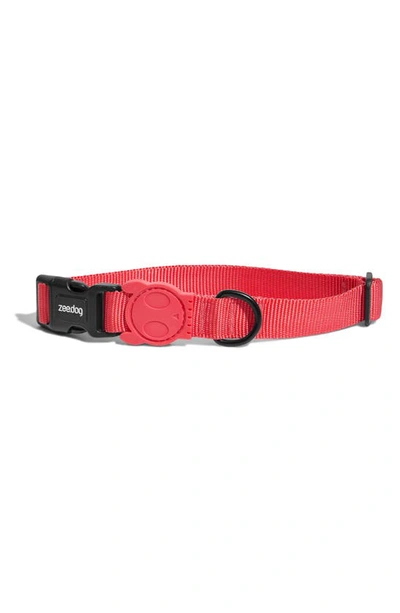 Zee.dog Dog Collar In Neon Coral