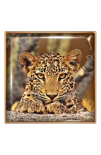 Chantecaille Luminescent Eye Shade Eyeshadow In Leopard