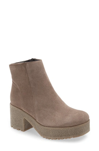 Cordani Finely Platform Bootie In Taupe