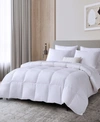 BEAUTYREST BLACK PREMIUM HYPOALLERGENIC WHITE DOWN LYOCELL COTTON BLEND COMFORTER, FULL/QUEEN