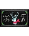 MOHAWK WINTER WISHES ACCENT RUG, 24" X 40"