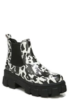 CIRCUS BY SAM EDELMAN DARIELLE PLATFORM CHELSEA BOOT,H1412S7