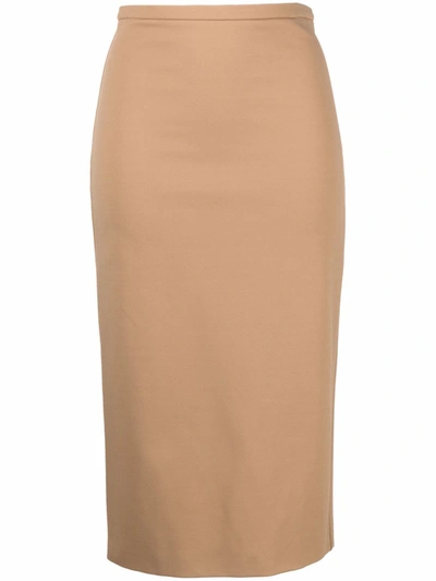 Max Mara Fitted Pencil Skirt In Neutrals