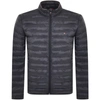Tommy Hilfiger Core Packable Jacket Navy In Navy