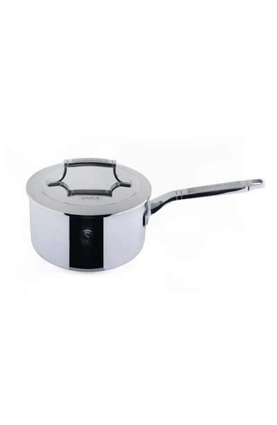 Saveur Selects Voyage Series Tri-ply Saucepan With Lid In Stainless Steel