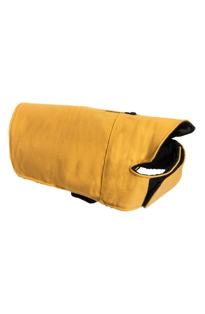 Zee.dog Winter Dog Coat In Yellow