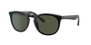 Giorgio Armani Man Sunglass Ar8149 In Green