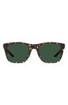Under Armour 55mm Square Sunglasses In Havn Brwn / Green Polarized