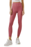 Grey Lab Leggings In Cassis