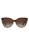 Kate Spade Daeshas 56mm Polarized Cat Eye Sunglasses In Havana / Brown Grad