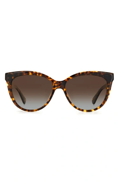 Kate Spade Daeshas 56mm Polarized Cat Eye Sunglasses In Havana / Brown Grad