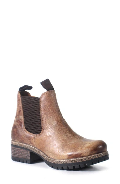 Diba True Say So Chelsea Boot In Brown