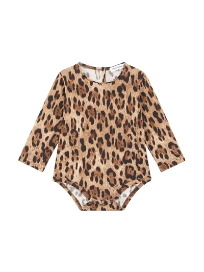 Dolce & Gabbana Baby Girl Leopard Bodysuit In Brown