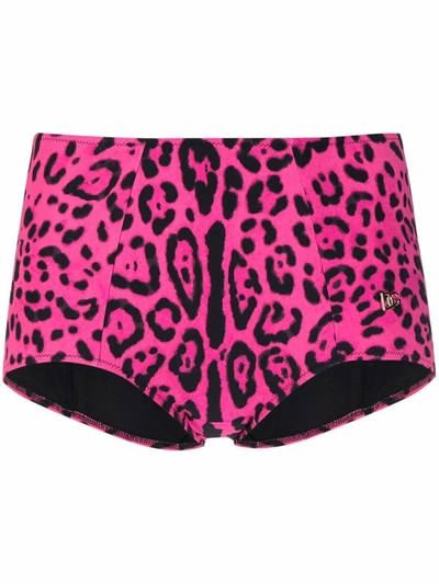 Dolce & Gabbana Leopard Print Briefs In Pink