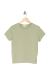 Alternative Crew Neck Organic Cotton T-shirt In Sage