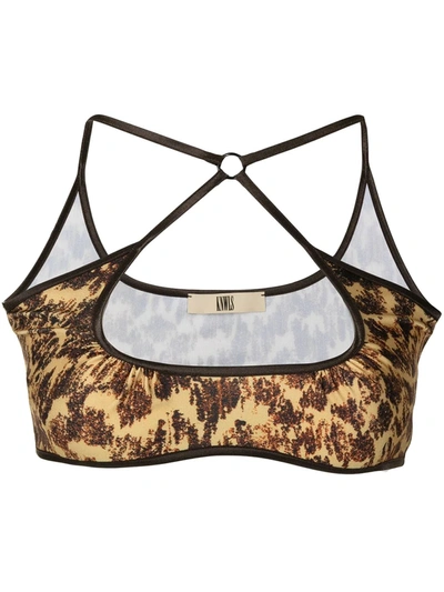 Knwls Brown & Yellow Graphic Print Nulle Bra