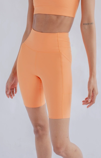 Girlfriend Collective High Rise Bike Short In Horizon