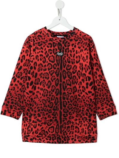 Dolce & Gabbana Kids' Leopard-print Cotton Sweatshirt Dress In Red,black