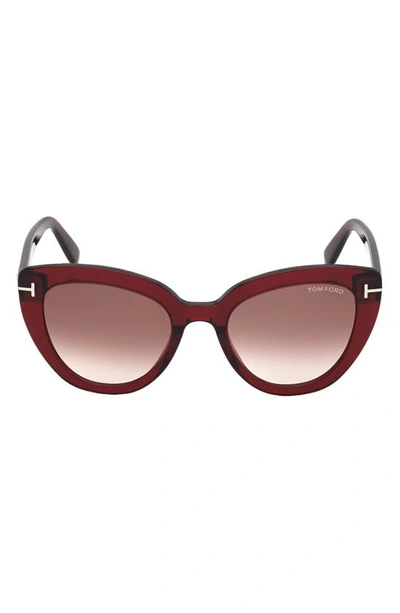 Tom Ford Izzi Acetate Cat-eye Polarized Sunglasses In Brown Multi