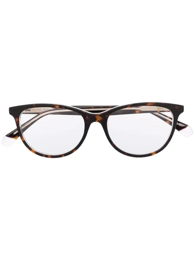 Polaroid Tortoiseshell Cat-eye Glasses In Braun