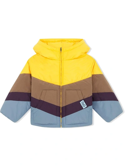 Dolce & Gabbana Kids' Colourblock-panel Padded Coat In Yellow