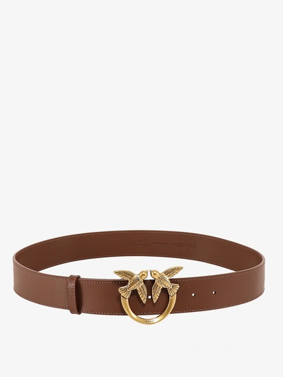 Pinko Belt In Brown