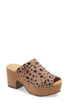 Chocolat Blu Platform Slide Sandal In Tan Leopard Suede