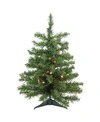 Northlight 2' Pre-lit Led Canadian Pine Artificial Christmas Tree In Green