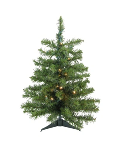 Northlight 2' Pre-lit Led Canadian Pine Artificial Christmas Tree In Green