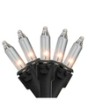 Northlight Set Of 100 Clear Mini Christmas Lights 2.5" Spacing In Clear