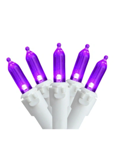 Northlight Led Mini Christmas Lights In Purple