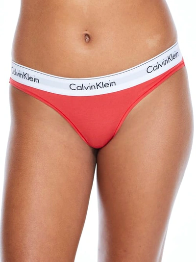 Calvin Klein Modern Cotton Thong In Strawberry Shake