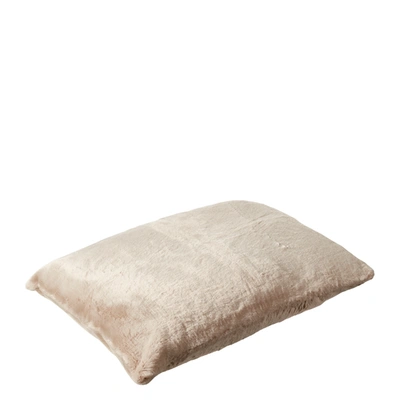 Oka Large Faux Fur Pet Cushion Cover - Seal Grey