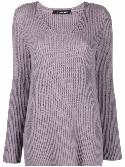 Iris Von Arnim Ribbed-knit Jumper In Purple