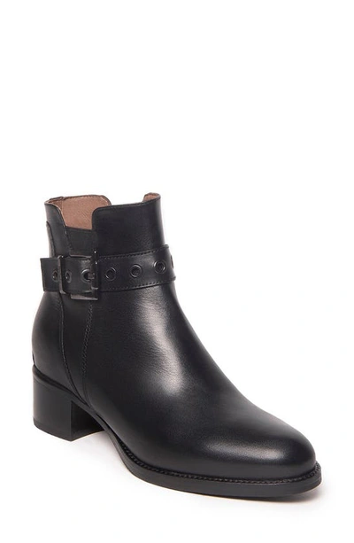 Nerogiardini Buckle Bootie In Black