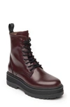 Nerogiardini Clean Calfskin Combat Booties In Bordo