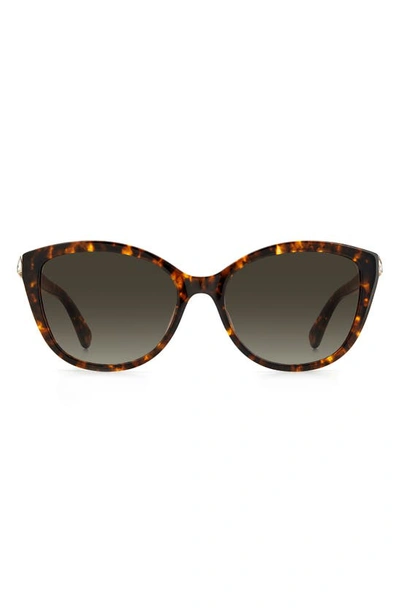 Kate Spade Hensley 55mm Cat Eye Sunglasses In Havana / Brown Gradient