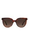 Kate Spade Geralyns 53mm Round Sunglasses In Havana / Brown Gradient