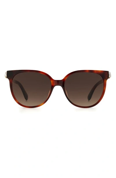 Kate Spade Geralyns 53mm Round Sunglasses In Havana/brown Gradient