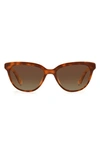 Kate Spade Cayennes 54mm Cat Eye Sunglasses In Havana / Brown