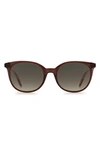 Kate Spade 51mm Andrias Round Sunglasses In Brown / Brown Gradient
