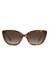 Kate Spade Phillipa 54mm Gradient Cat Eye Sunglasses In Havana / Brown Grad