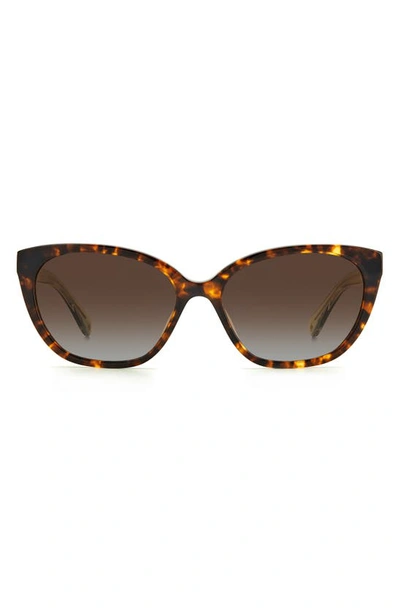 Kate Spade Phillipa 54mm Gradient Cat Eye Sunglasses In Havana / Brown Grad