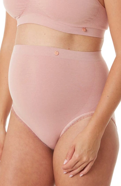 Cache Coeur Maternity Organic Cotton High-waist Briefs In Dusty Rose