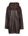 P.a.r.o.s.h Coats In Dark Brown