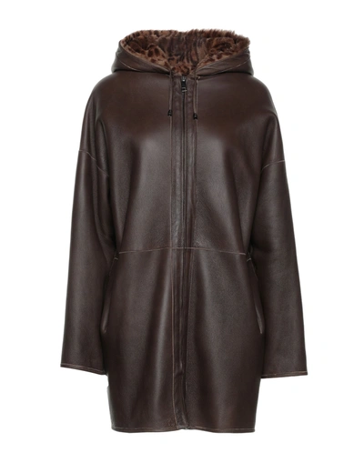 P.a.r.o.s.h Coats In Dark Brown