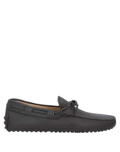 Tod's Loafers In Dark Brown