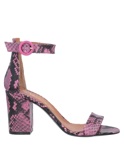 Via Roma 15 Sandals In Pink