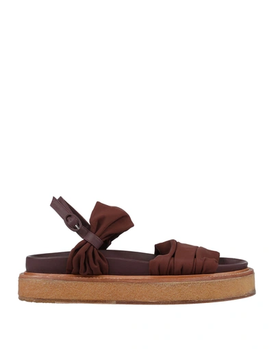Alysi Sandals In Dark Brown
