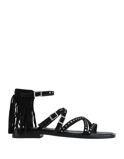 Ash Sandals In Black